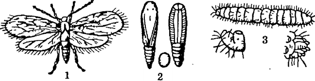 . 19.   : 1  -; 2  ; 3  